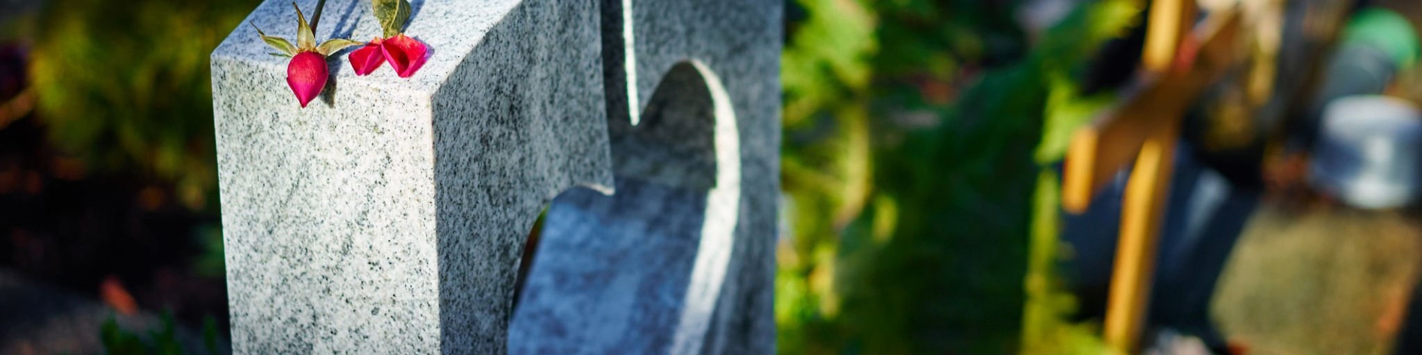 Fleur de la pompe funèbre