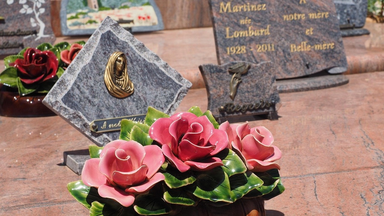 Fleur de la pompe funèbre