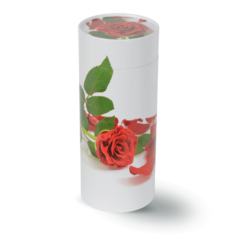 Urne rose